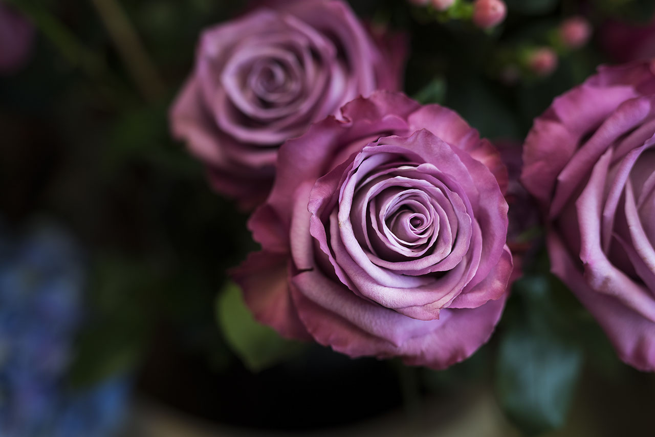 Blumenladen an der Münchner Freiheit Sonntags